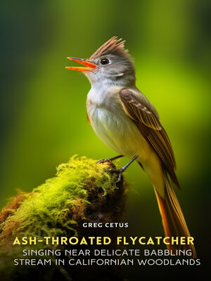 cover image of Ash-throated Flycatcher Singing Near Delicate Babbling Stream in Californian Woodlands